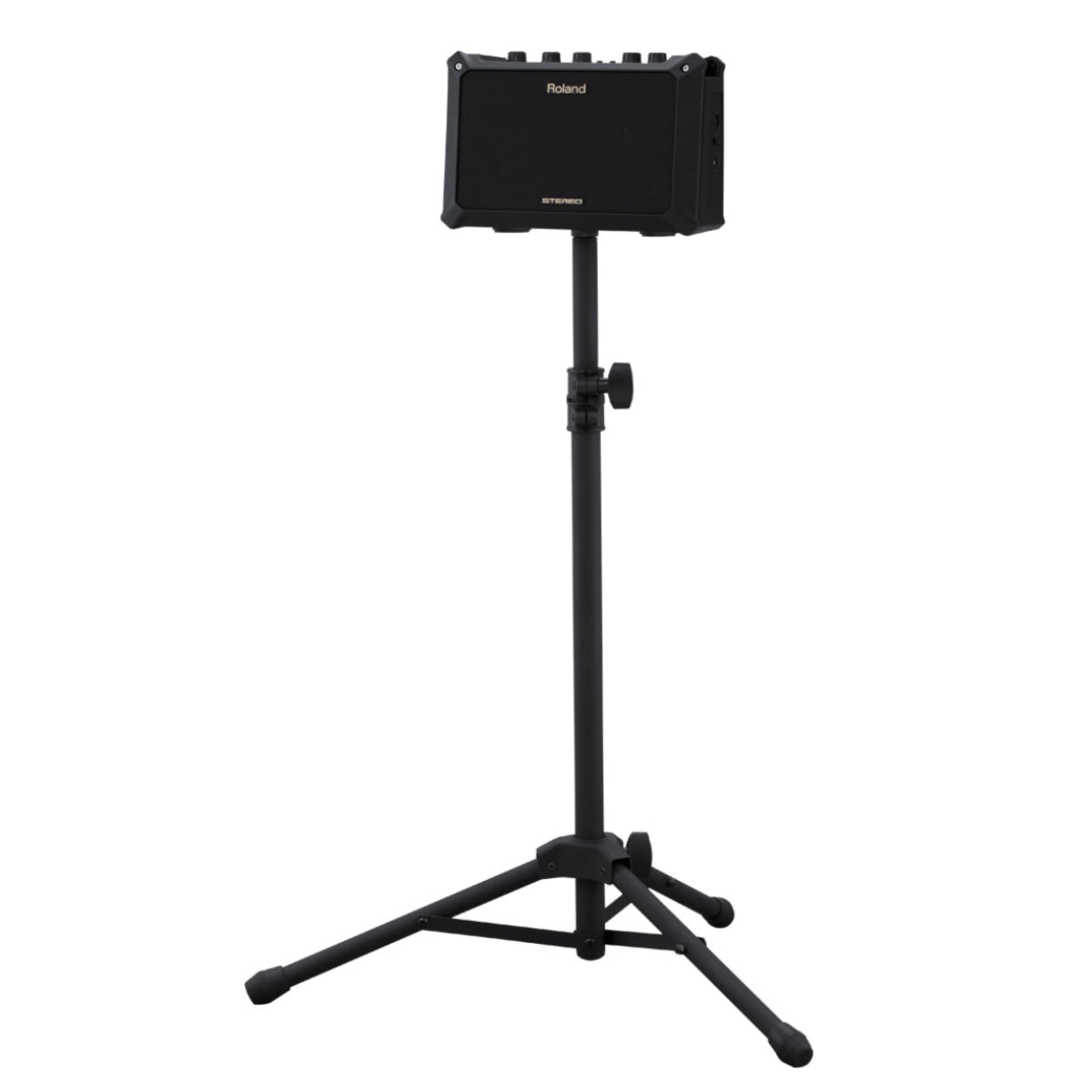 Amplifier Roland Mobile AC