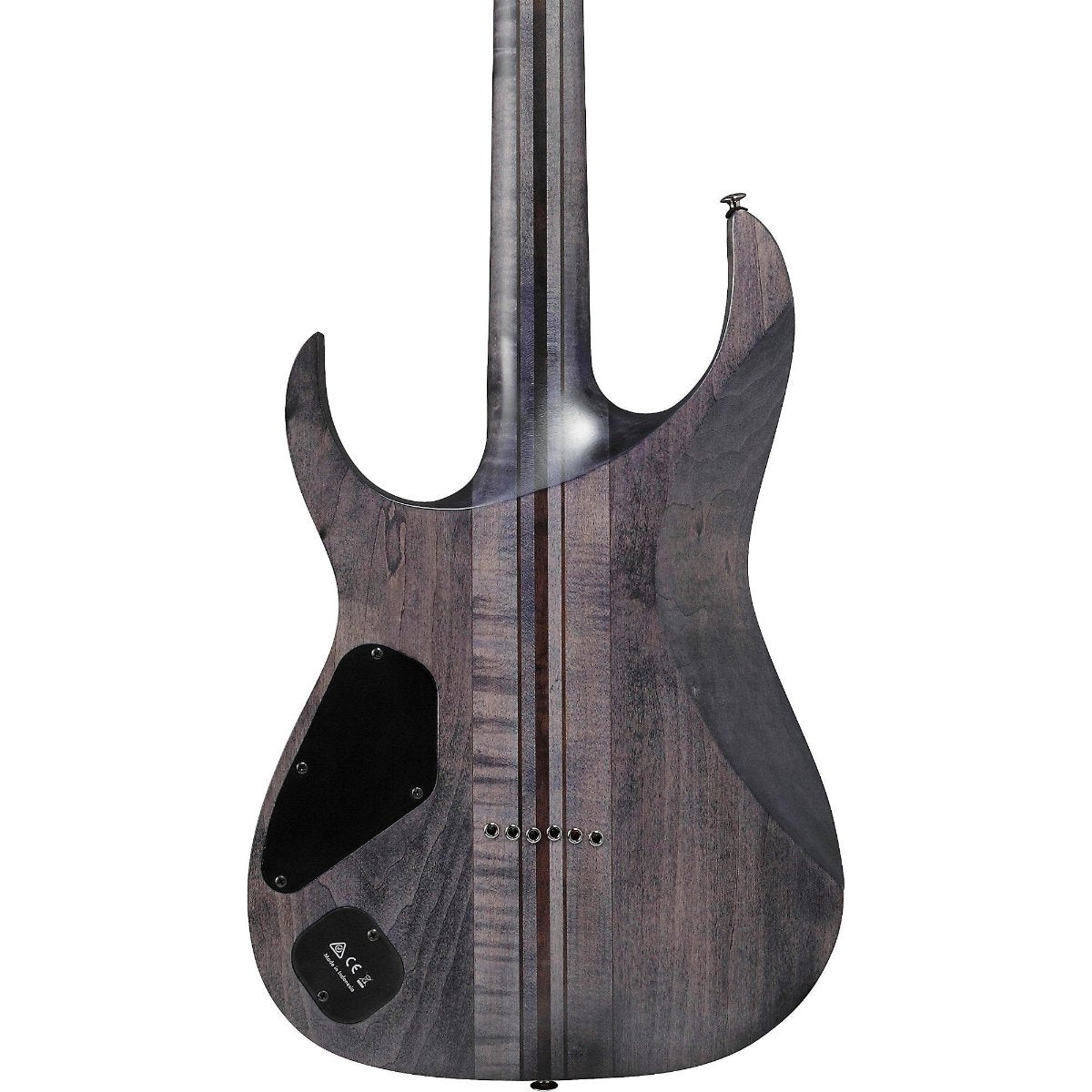 Đàn Guitar Điện Ibanez RGT1221PB, HH, Deep Twilight Flat w/Case