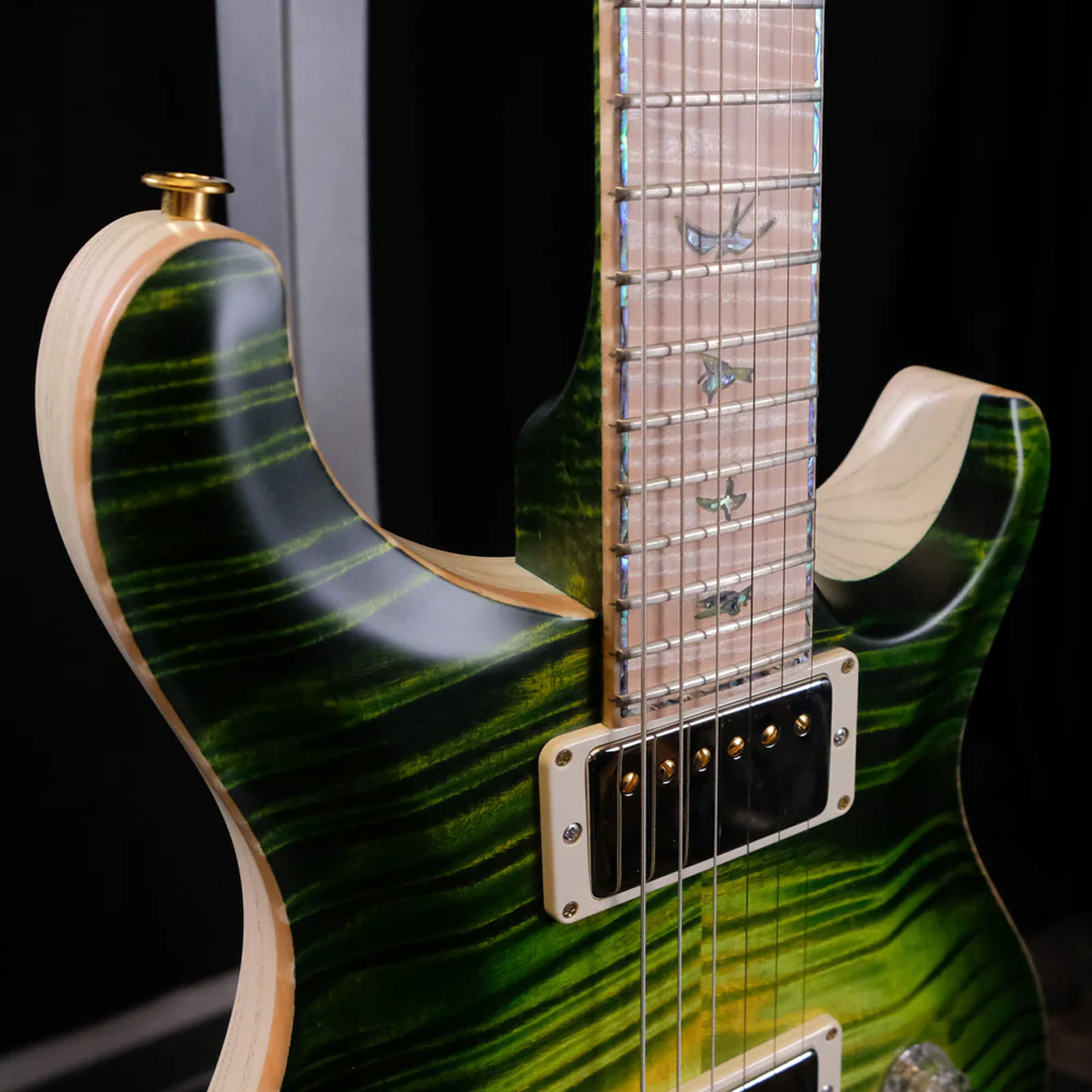 Đàn Guitar Điện PRS DGT Wood Library 10 Top Private Stock, Rainforest Glow w/Case