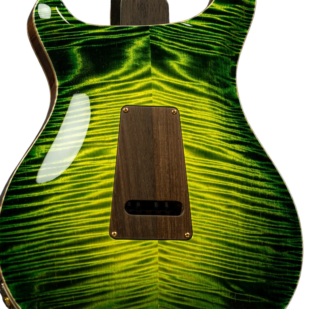 Đàn Guitar Điện PRS McCarty 594 Hollowbody II Wood Library 10 Top Private Stock, Rain Forest Glow w/Case