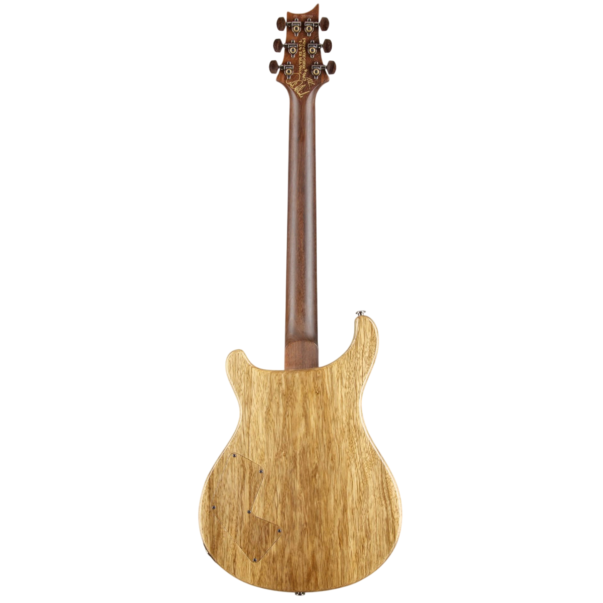 Đàn Guitar Điện PRS Modern Eagle V Wood Library 10 Top Private Stock, Zombie Sky w/Case