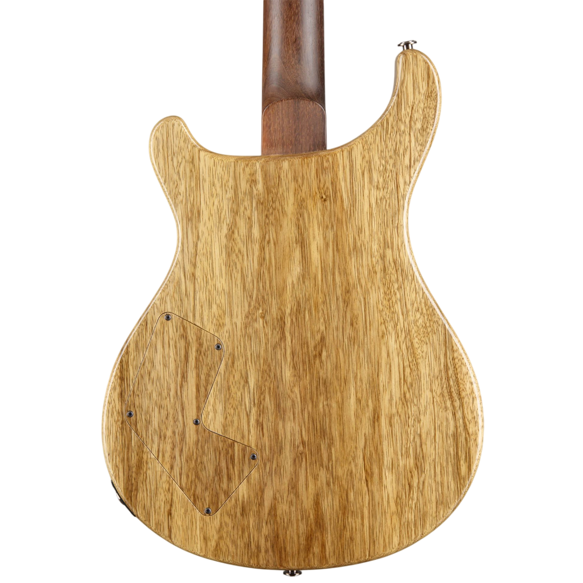 Đàn Guitar Điện PRS Modern Eagle V Wood Library 10 Top Private Stock, Zombie Sky w/Case