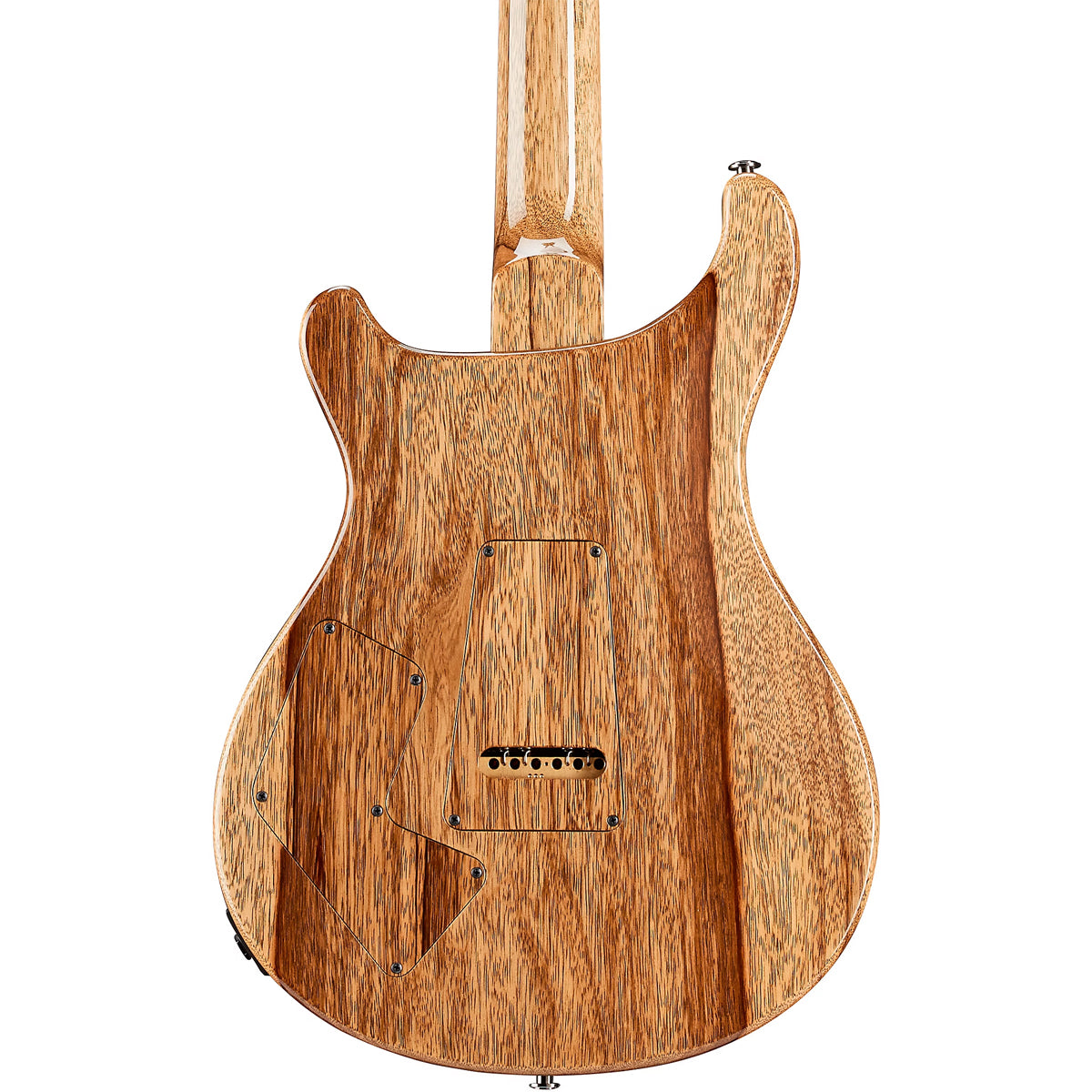 Đàn Guitar Điện PRS Modern Eagle V Wood Library 10 Top Private Stock, Laguna Dragon's Breath w/Case