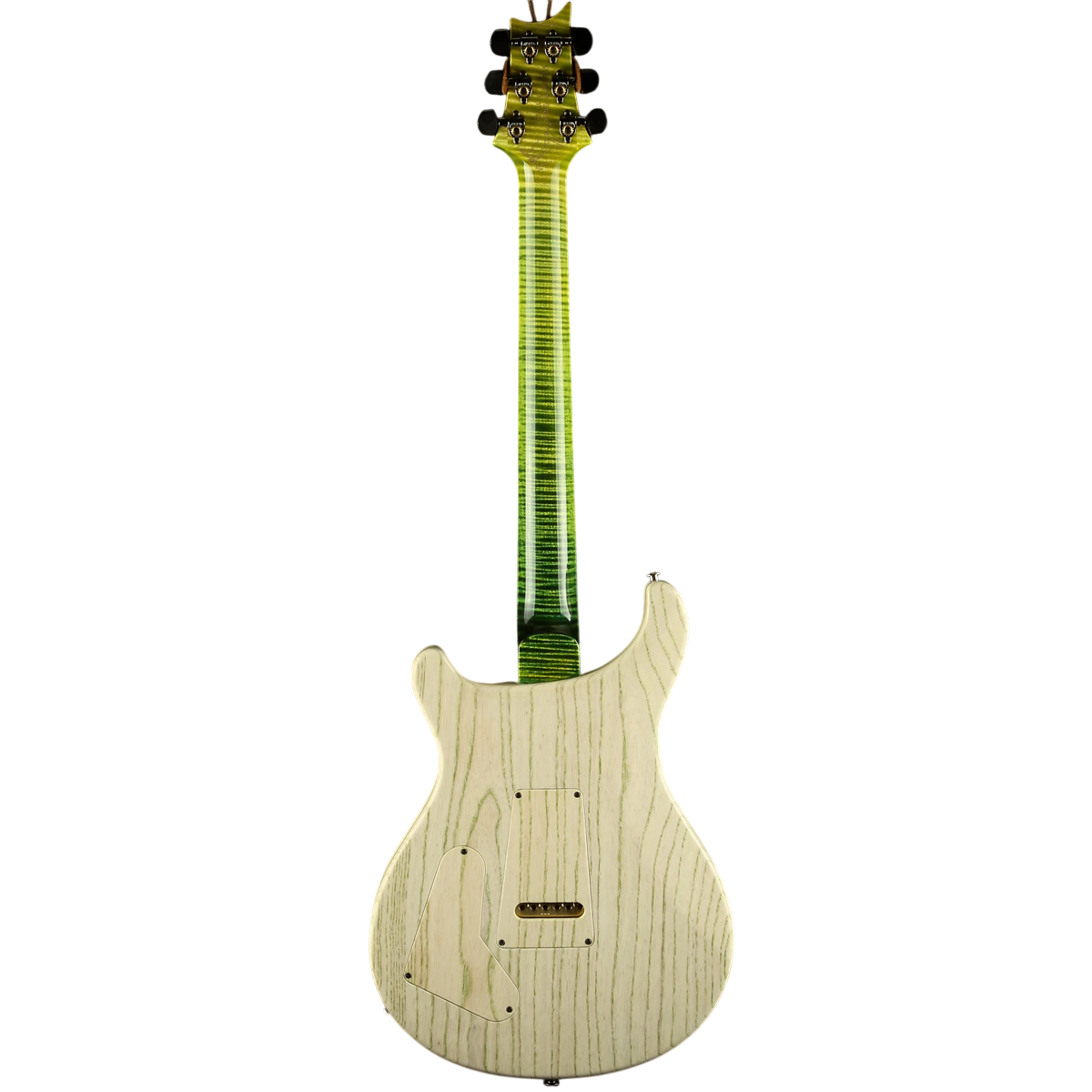 Đàn Guitar Điện PRS Special Semi-Hollow Wood Library 10 Top Private Stock, Rainforest Glow w/Case