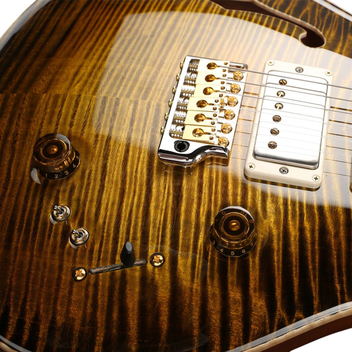 Đàn Guitar Điện PRS Special Semi-Hollow Wood Library 10 Top Private Stock, Tiger Eye Glow w/Case