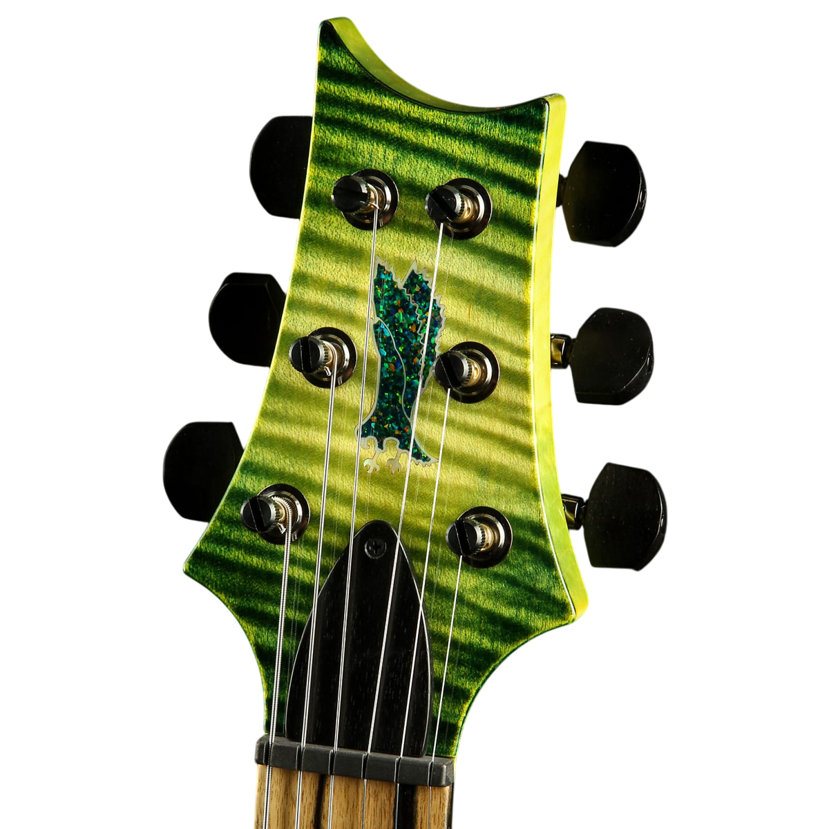 Đàn Guitar Điện PRS Special Semi-Hollow Wood Library 10 Top Private Stock, Rainforest Glow w/Case
