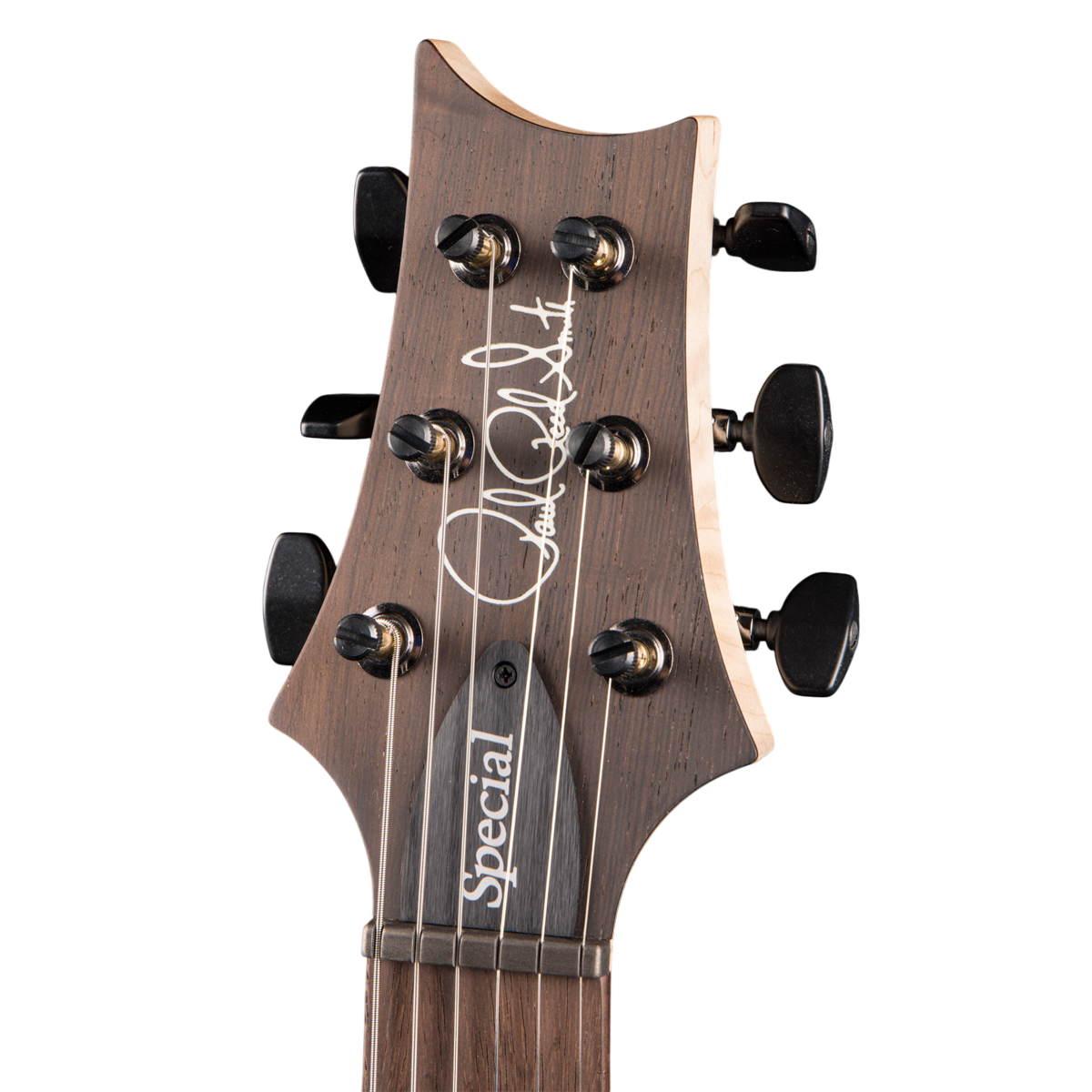 Đàn Guitar Điện PRS Special Semi-Hollow Wood Library 10 Top, Purple Fade w/Case