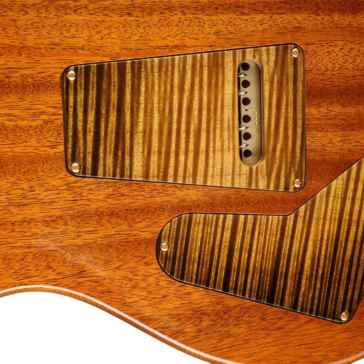 Đàn Guitar Điện PRS Special Semi-Hollow Wood Library 10 Top Private Stock, Tiger Eye Glow w/Case