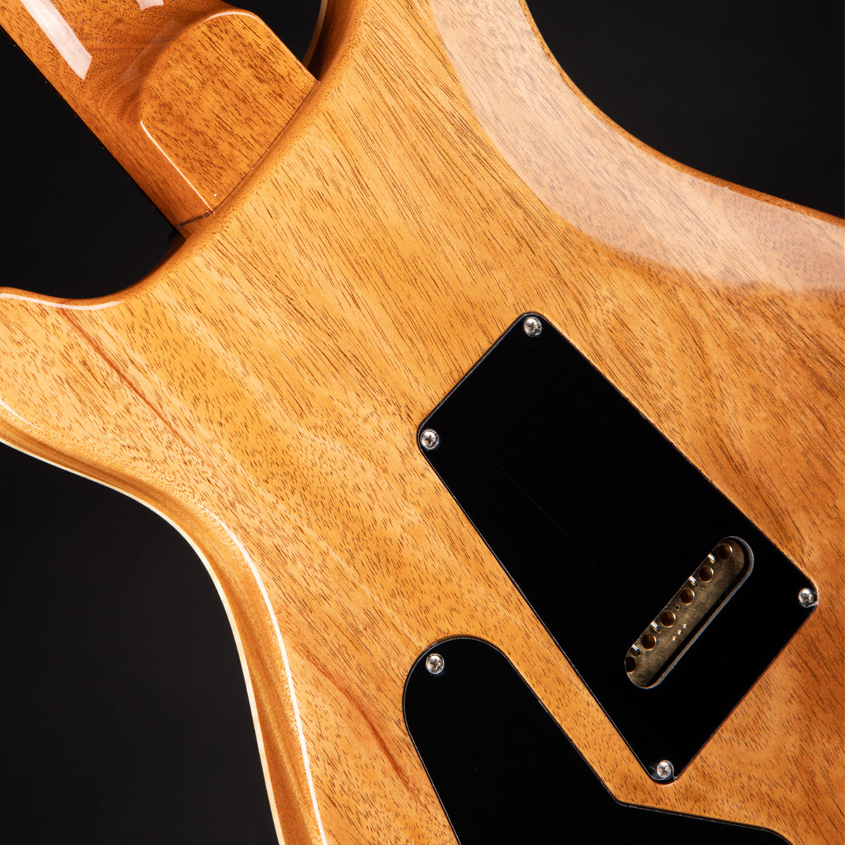 Đàn Guitar Điện PRS Special Semi-Hollow, Black Top w/Case