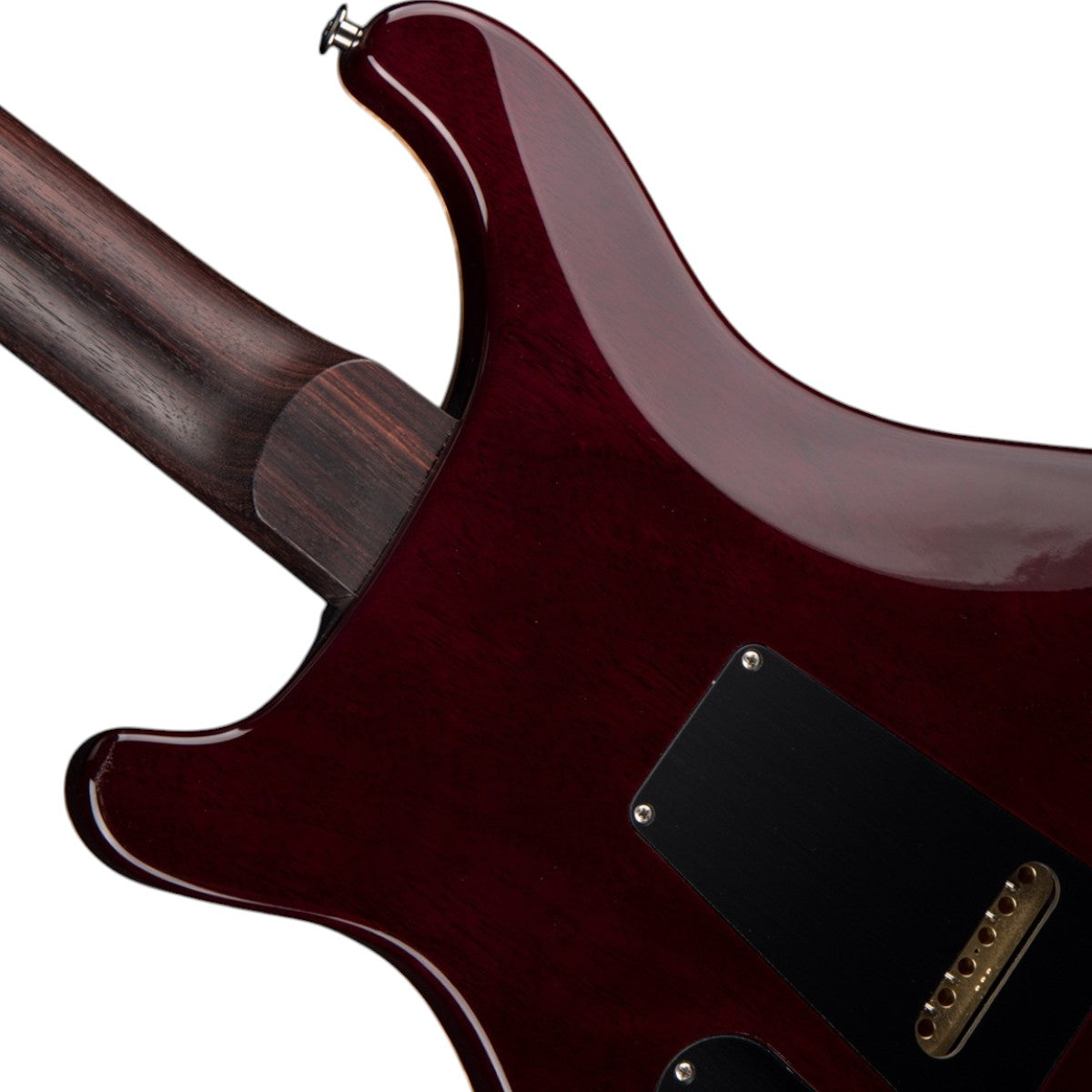 Đàn Guitar Điện PRS Special Semi Hollow Wood Library 10 Top Electric Guitar w/Case, Angry Larry