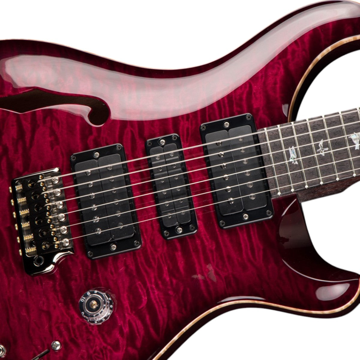 Đàn Guitar Điện PRS Special Semi Hollow Wood Library 10 Top Electric Guitar w/Case, Angry Larry