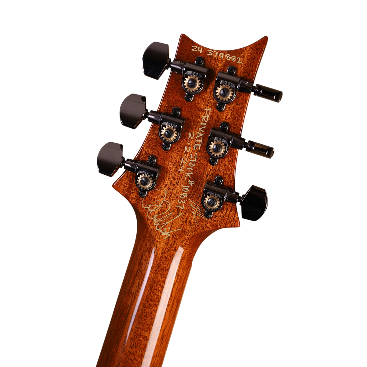 Đàn Guitar Điện PRS Special Semi-Hollow Wood Library 10 Top Private Stock, Frostbite Glow w/Case