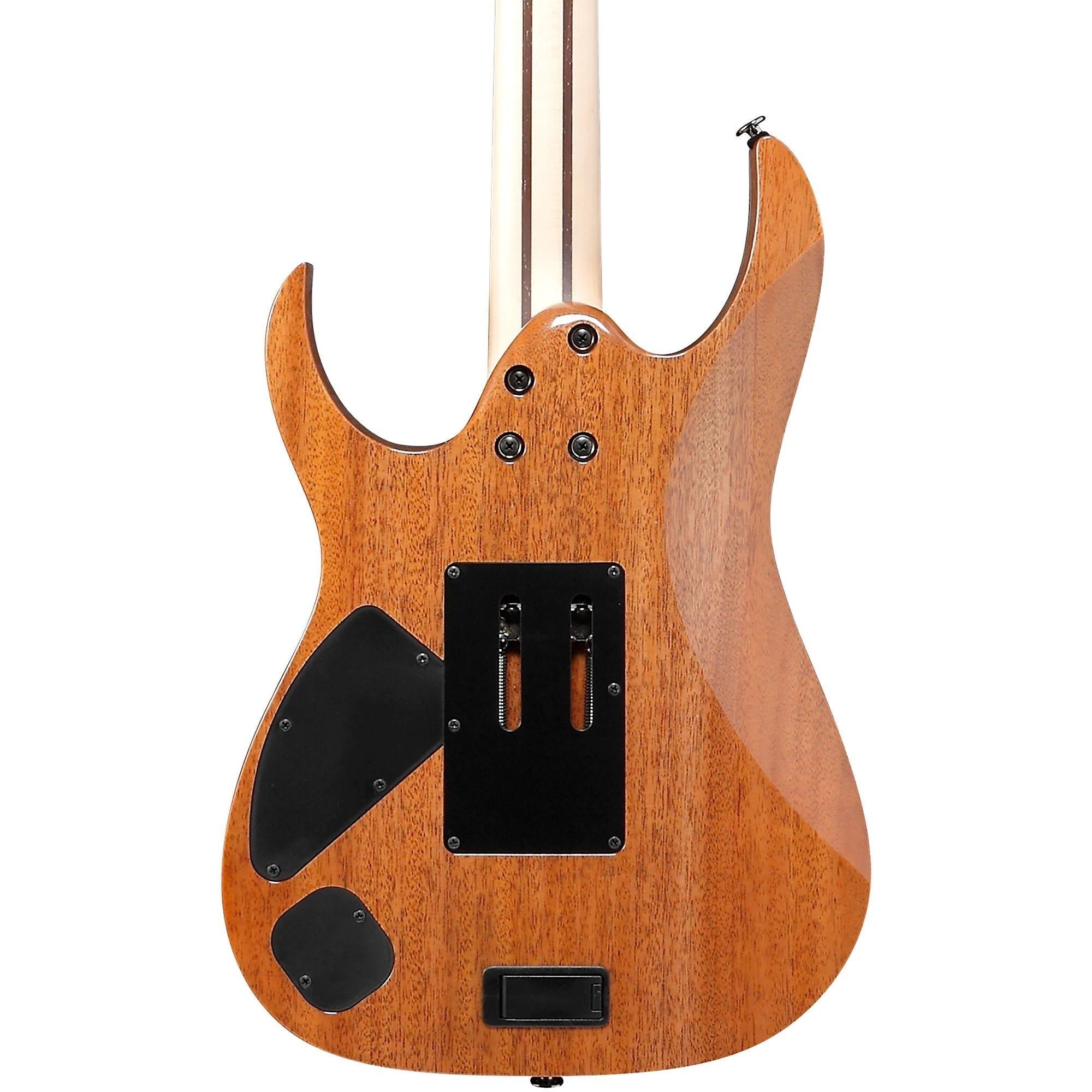 Đàn Guitar Điện Ibanez RG5120M Polar Lights