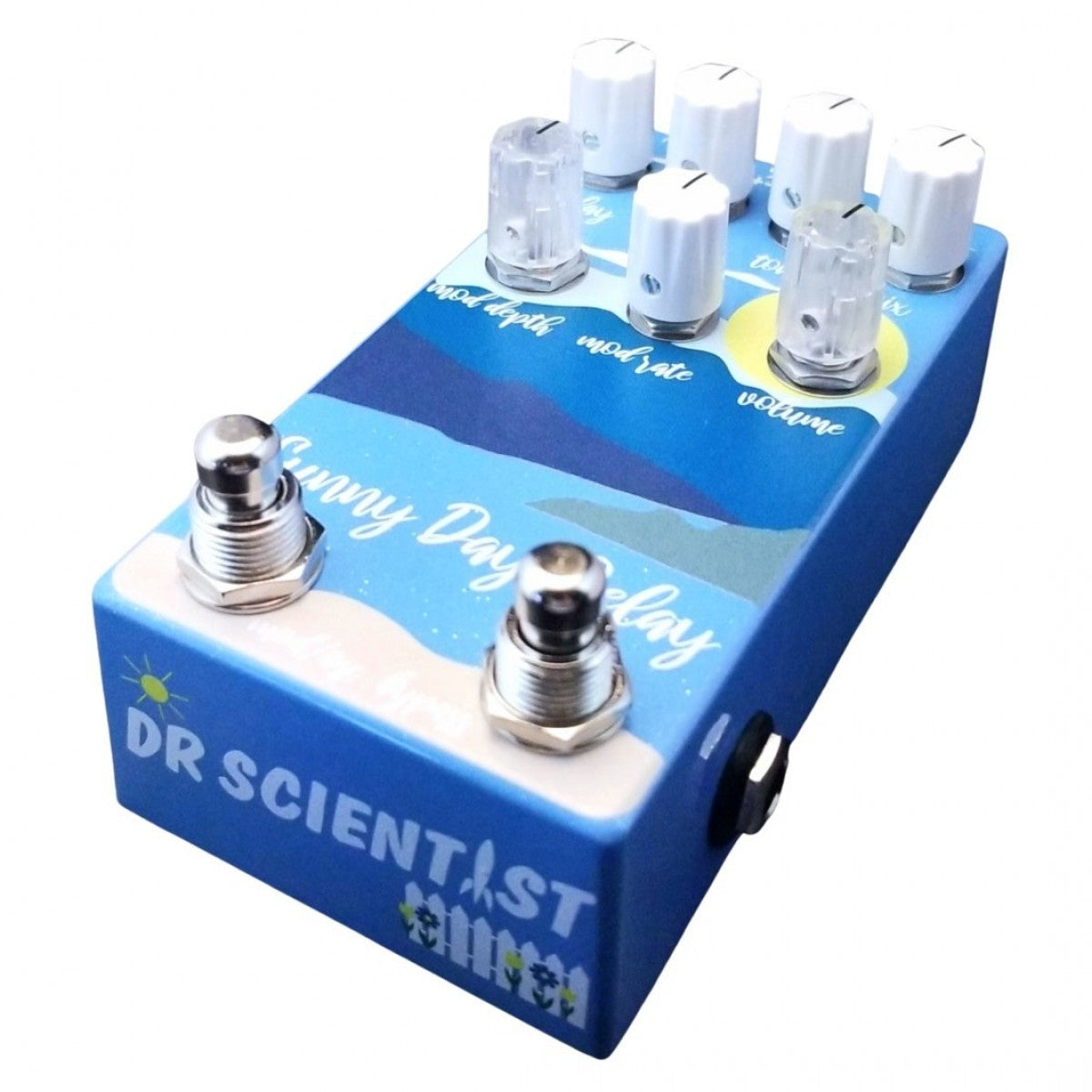 Delay Pedal Guitar Dr Scientist Sunny Day