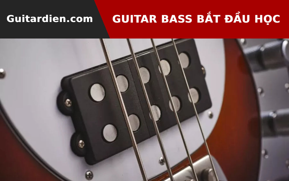 Những Cây Guitar Bass Tốt Nhất Cho Người Bắt Đầu