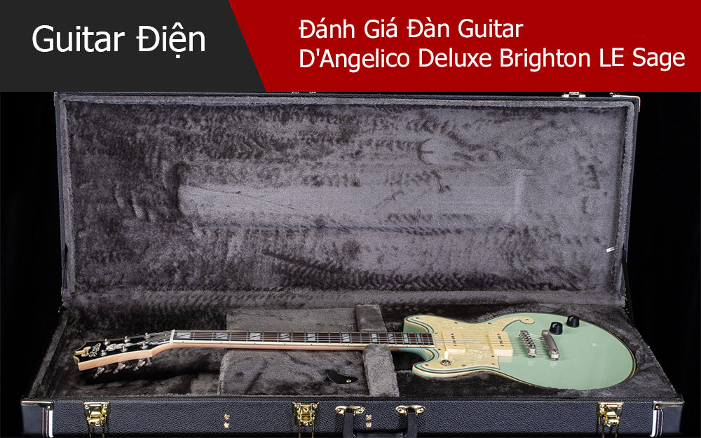 Đánh Giá Đàn Guitar D'Angelico Deluxe Brighton LE Sage