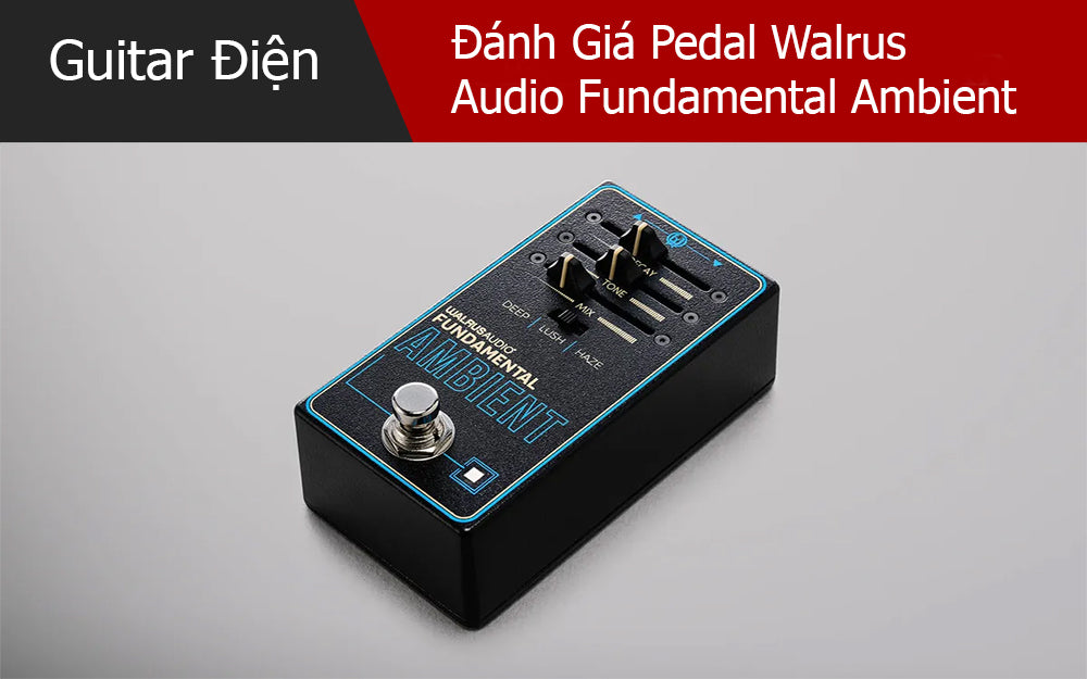 Đánh Giá Pedal Walrus Audio Fundamental Ambient