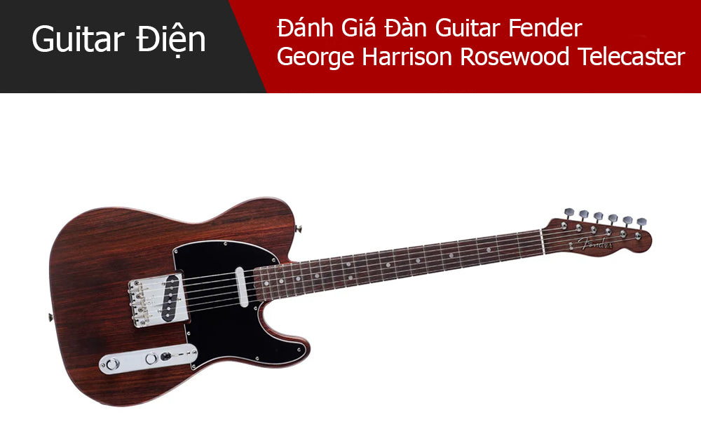 Đánh Giá Đàn Guitar Fender George Harrison Rosewood Telecaster