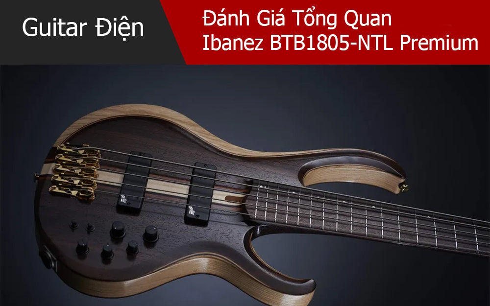 Đánh Giá Tổng Quan Về Bass Ibanez BTB1805-NTL Premium