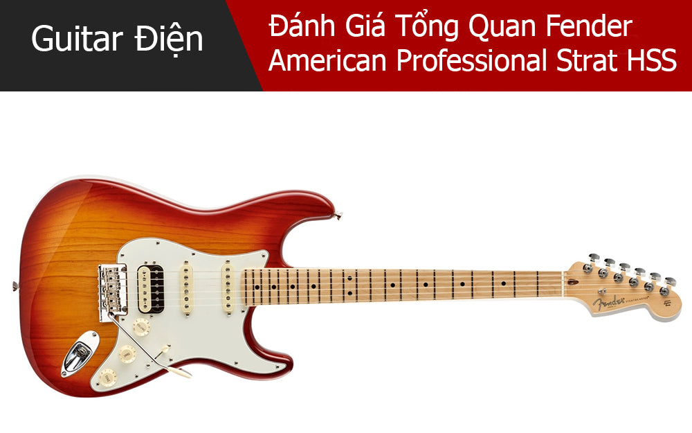 Đánh Giá Tổng Quan Fender American Professional Stratocaster HSS Shawbucker