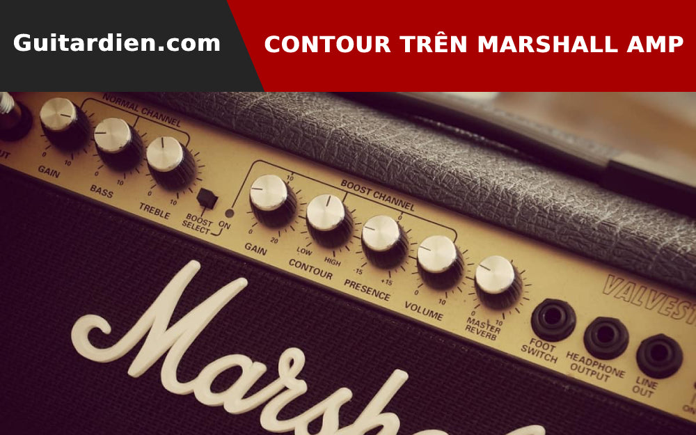 Control Contour Trên Amplifier Là Gì? – Guitar Điện