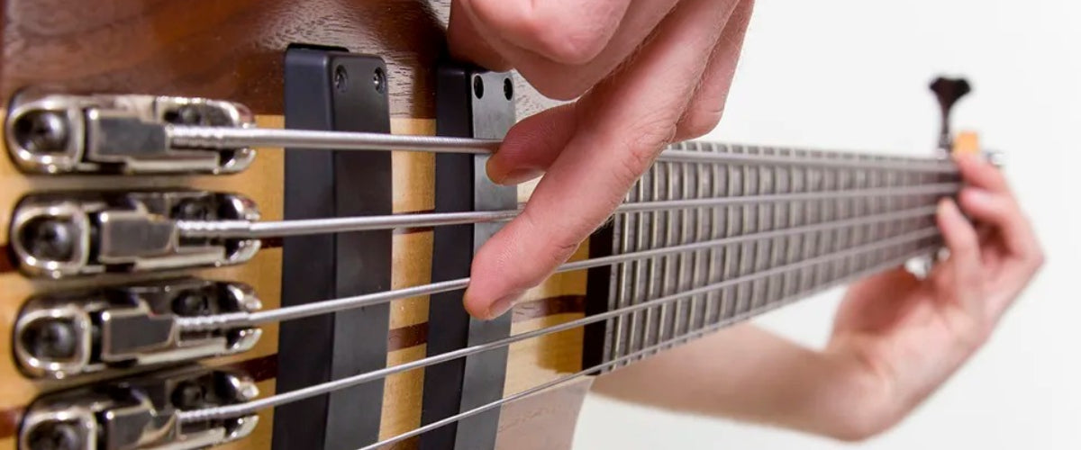 Top 10 Đàn Guitar Bass 5 Dây Tốt Nhất