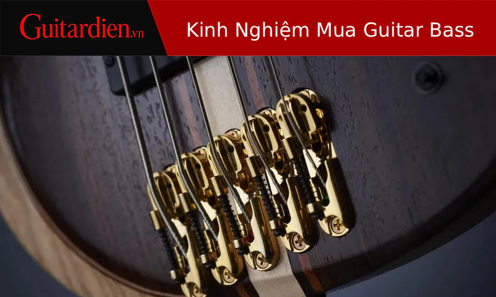 Kinh Nghiệm Mua Guitar Bass