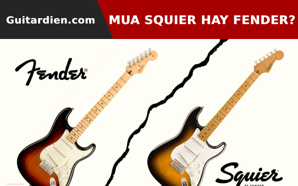 Nên Mua Guitar Squier Hay Guitar Fender?