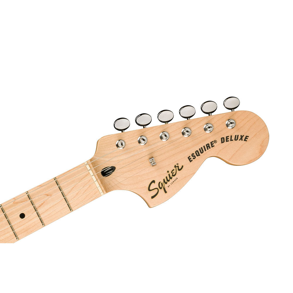 Đàn Guitar Điện Squier Limited Edition Paranormal Esquire Deluxe H, Maple Fingerboard