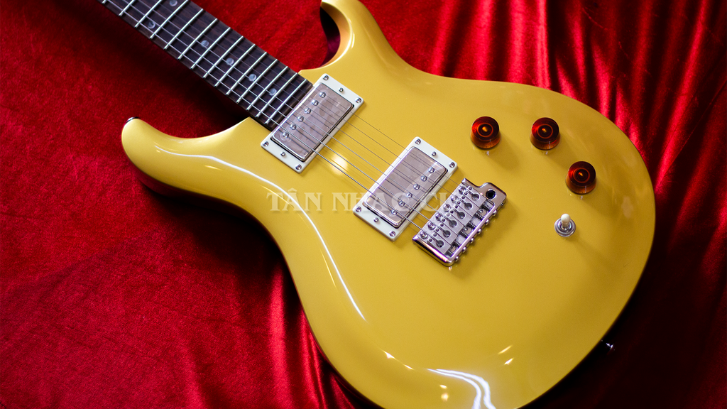 Đàn Guitar Điện PRS SE DGT David Grissom Signature