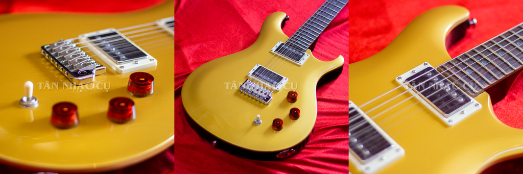Đàn Guitar Điện PRS SE DGT David Grissom Signature