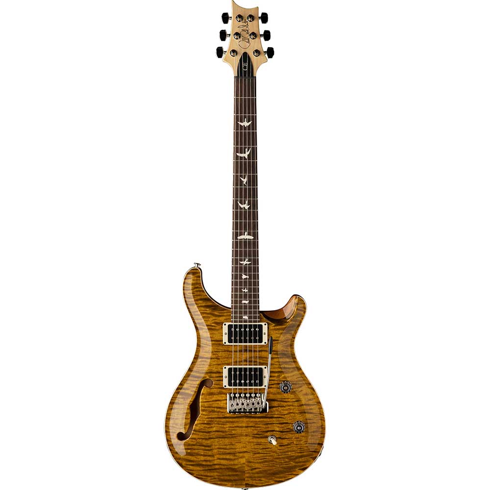 Đàn Guitar Điện PRS CE24 Semi Hollow w/Bag