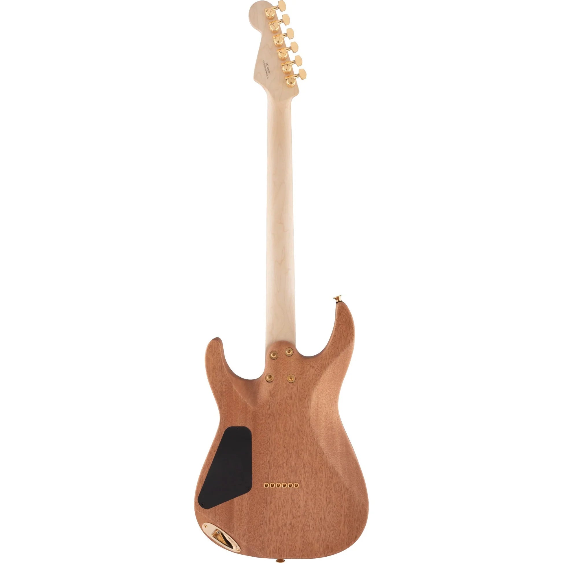 Đàn Guitar Điện Charvel Pro-Mod DK24 HH HT M Mahogany with Figured Walnut, Maple Fingerboard