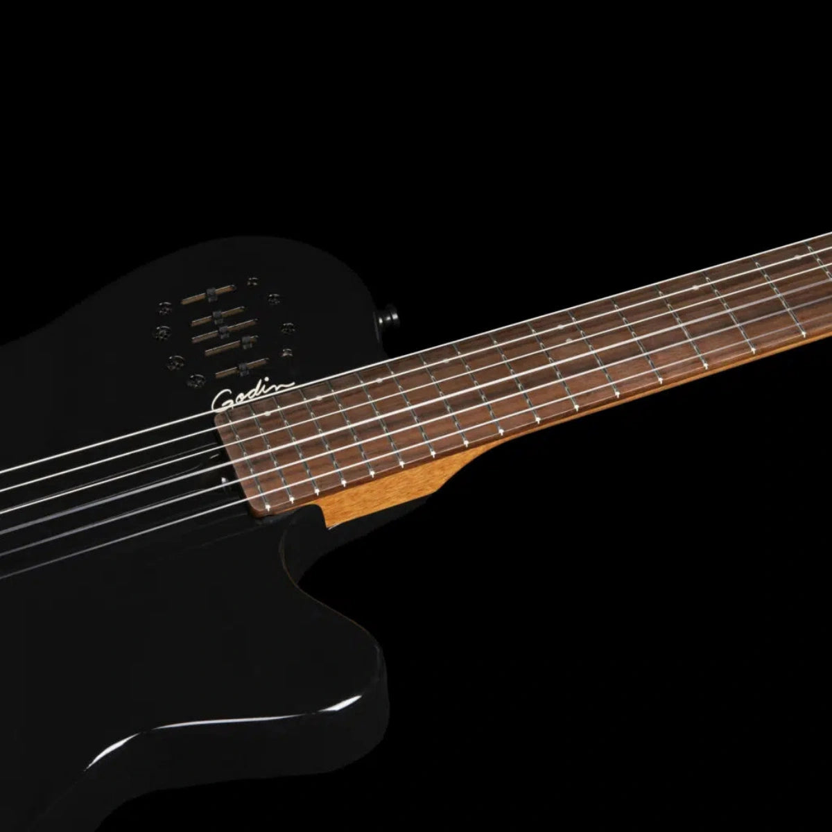 Đàn Guitar Điện Godin Multiac Mundial Onyx, Black