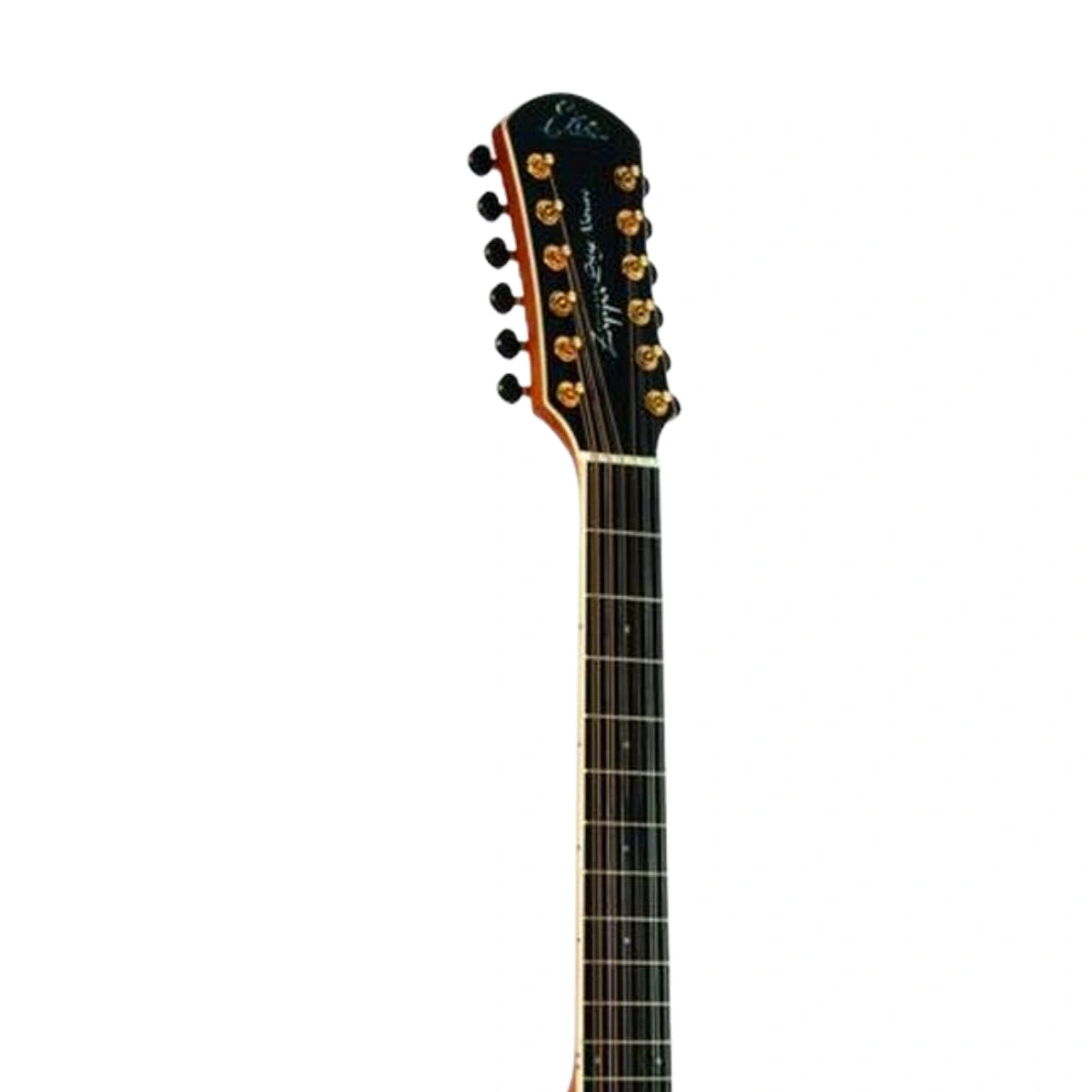 Đàn Guitar Acoustic Eko Riccardo Zappa Signature 12 Strings, Natural