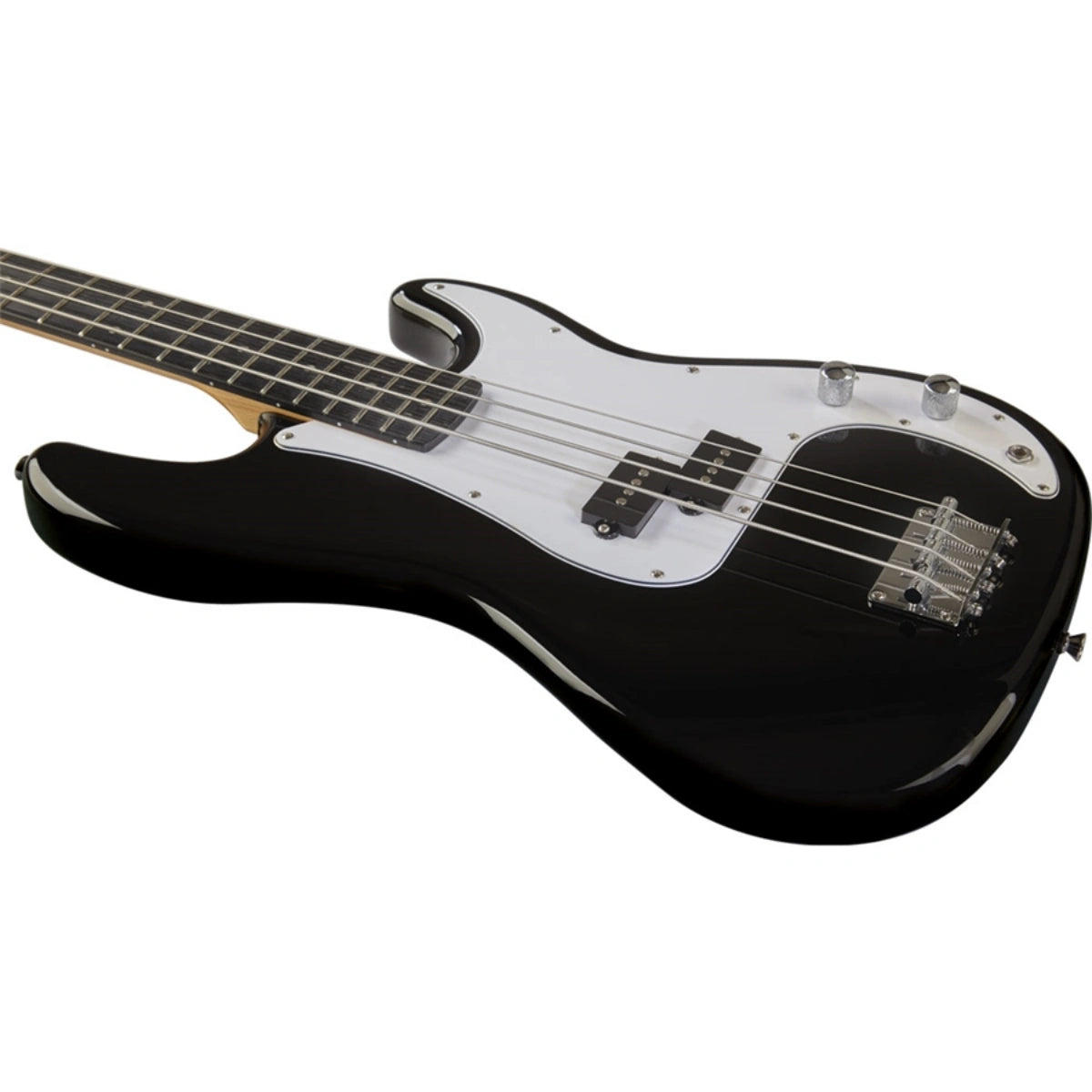 Đàn Bass Điện Eko VPB 100, Black