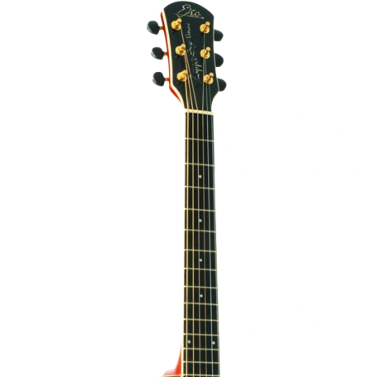 Đàn Guitar Acoustic Eko Riccardo Zappa Signature 6 Strings, Natural