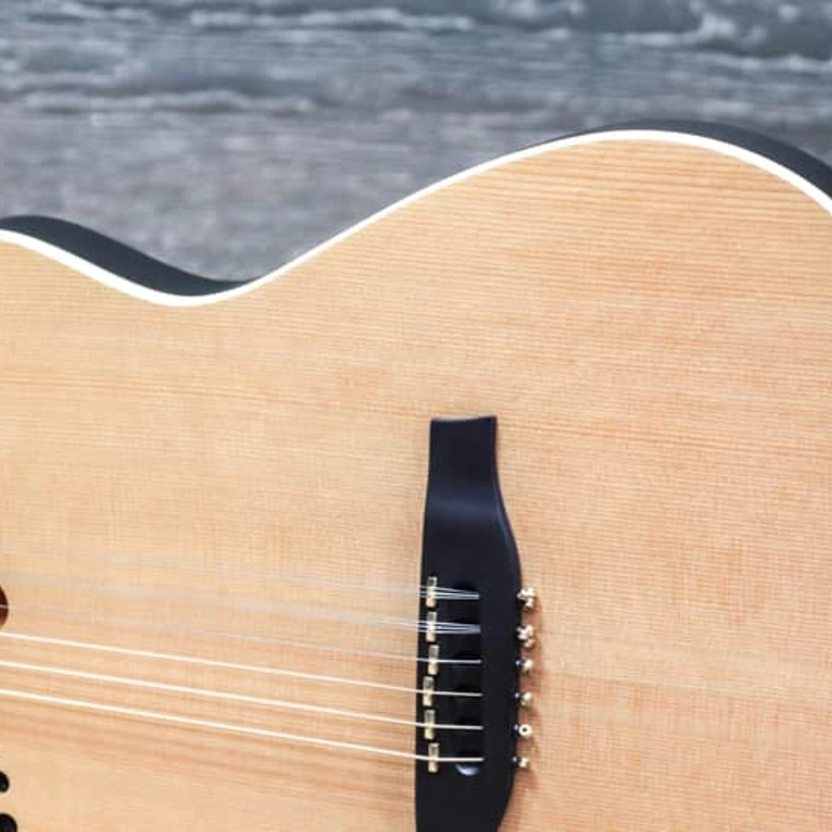 Đàn Guitar Điện Godin A10 Natural Steel Mahogany Cedar SG, Natural
