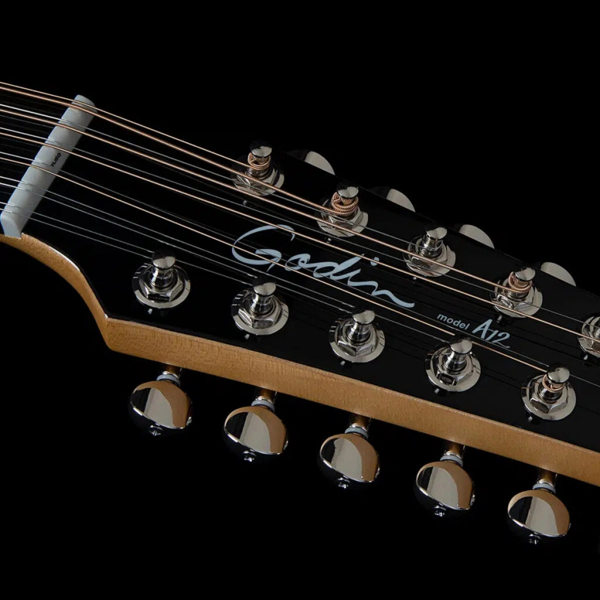 Đàn Guitar Điện Godin A12 Black HG, Black