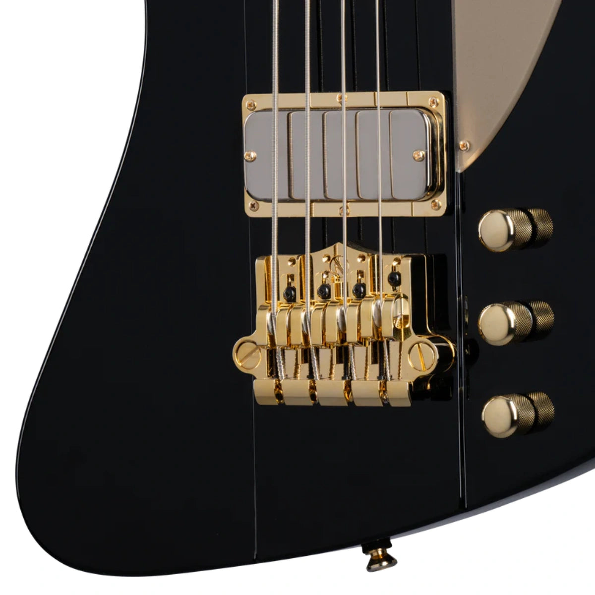 Đàn guitar Bass Điện Epiphone Rex Brown Thunderbird, Ebony