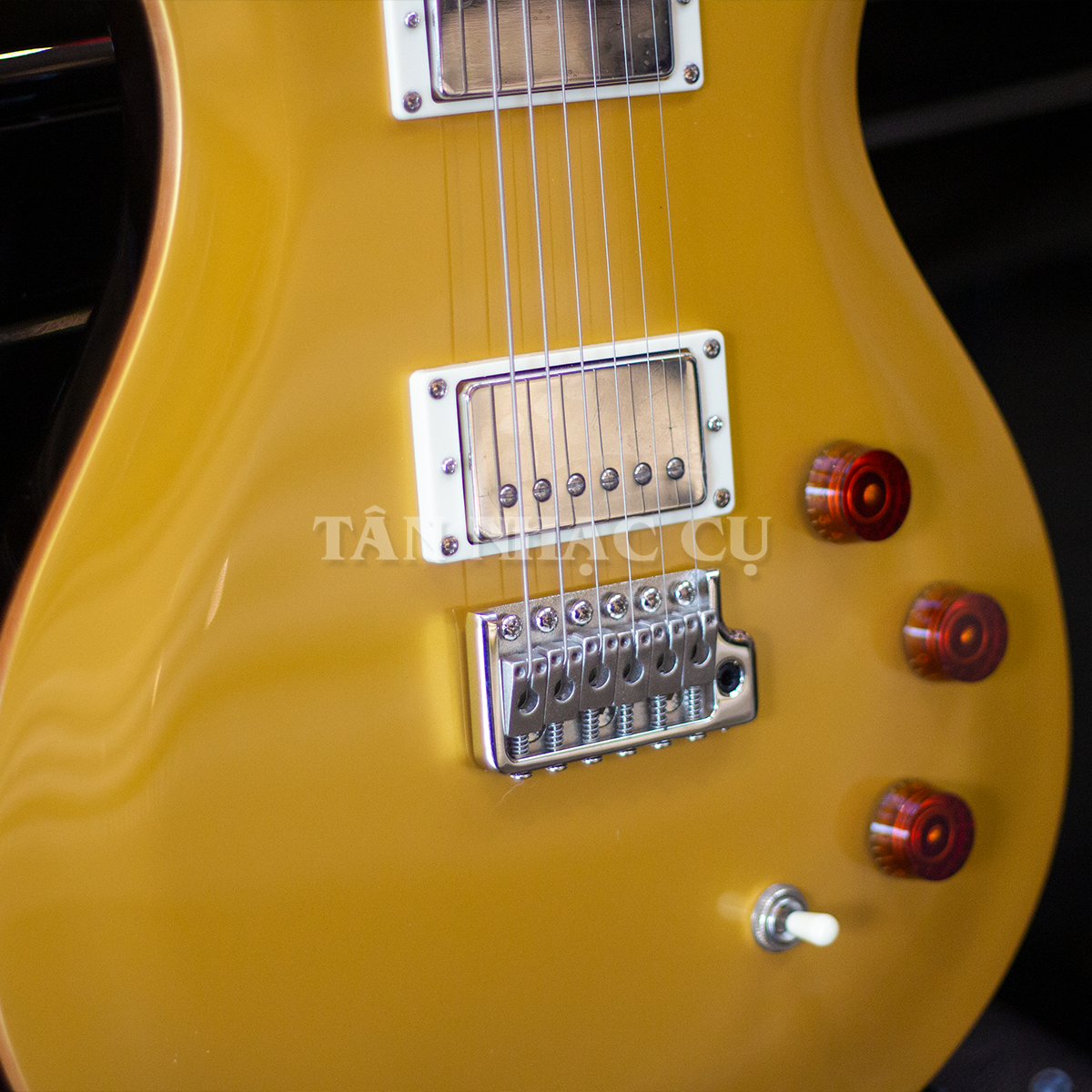Đàn Guitar Điện PRS SE DGT David Grissom Signature