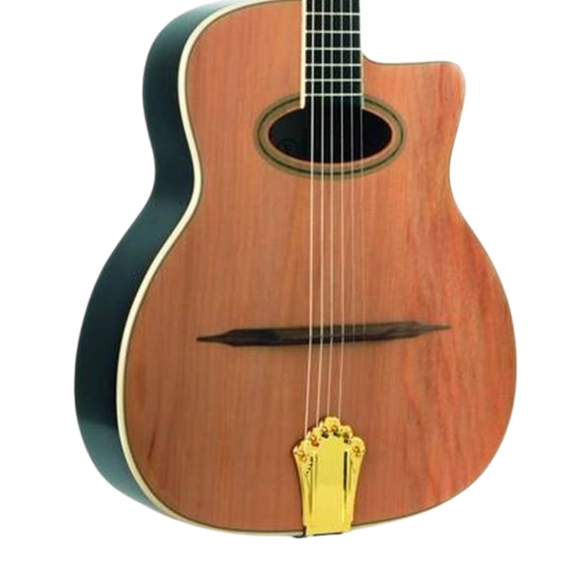 Đàn Guitar Acoustic Eko NXT Gipsy, Natural