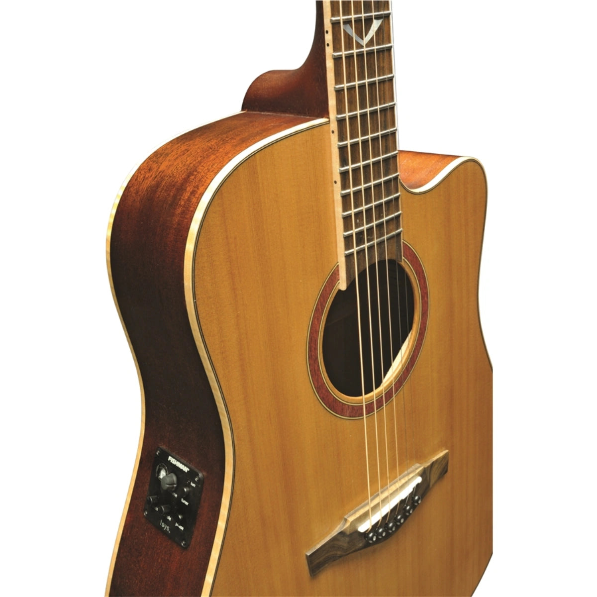 Đàn Guitar Acoustic Electric Eko EVO II D CW EQ, Natural