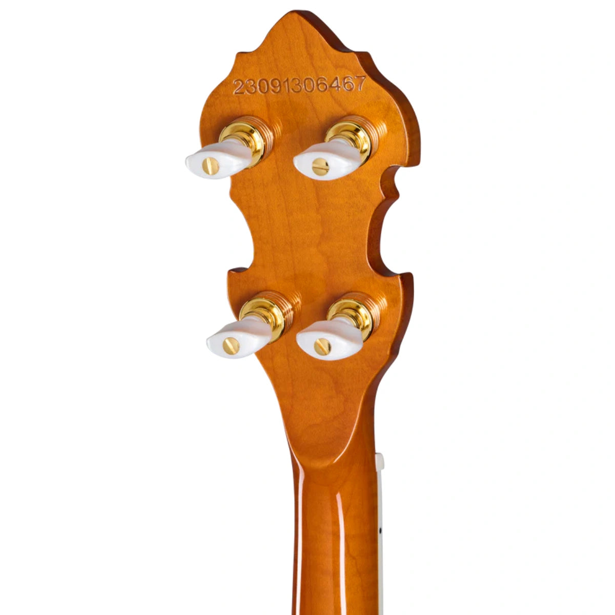 Đàn Guitar Acoustic Epiphone Earl Scruggs Golden Deluxe Banjo Vintage Sunburst