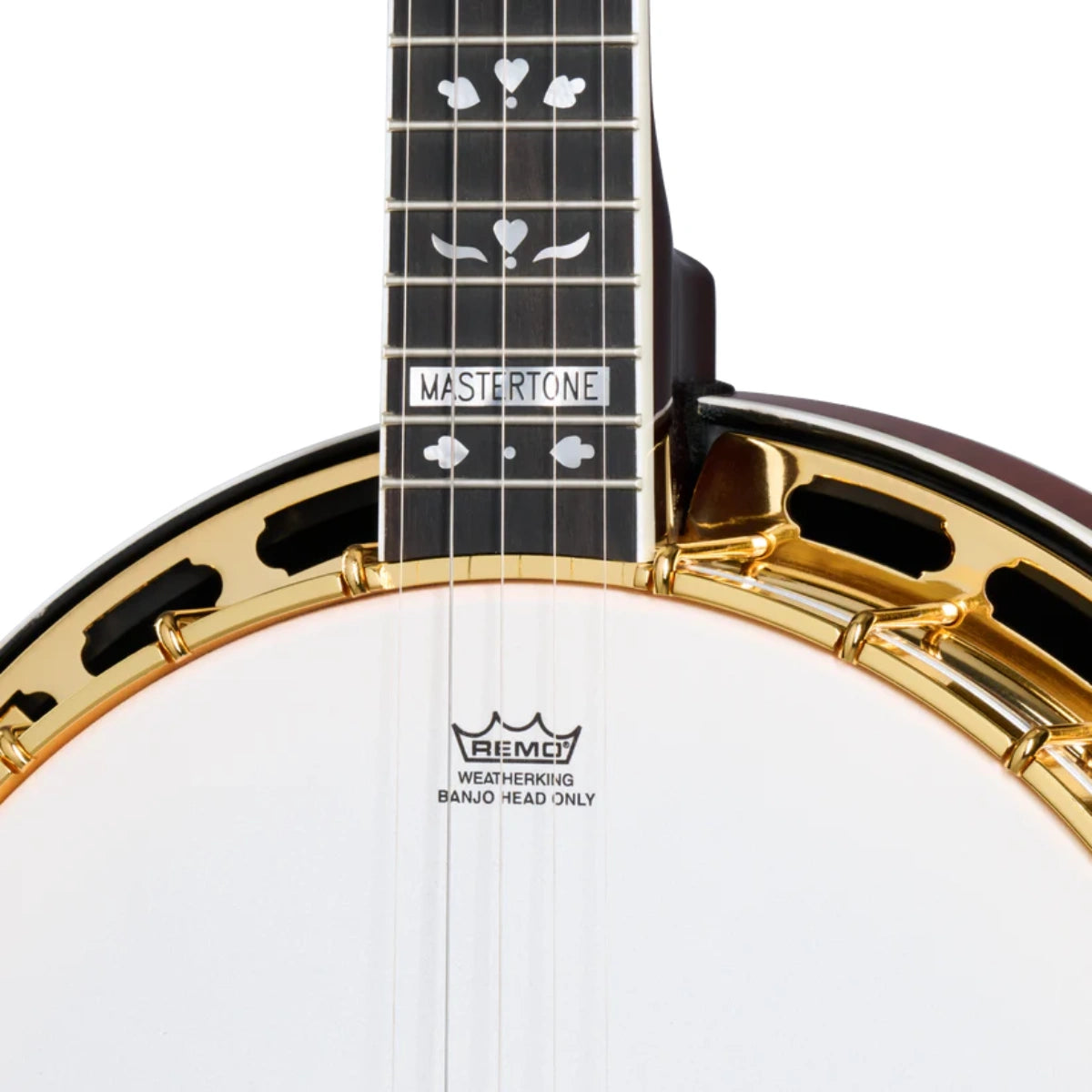 Đàn Guitar Acoustic Epiphone Earl Scruggs Golden Deluxe Banjo Vintage Sunburst