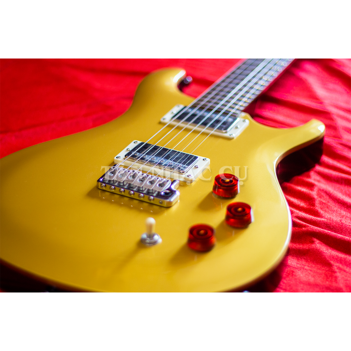 Đàn Guitar Điện PRS SE DGT David Grissom Signature