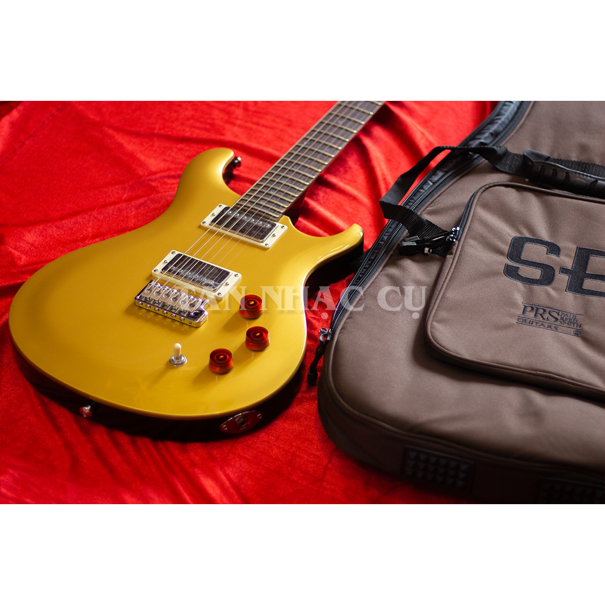 Đàn Guitar Điện PRS SE DGT David Grissom Signature