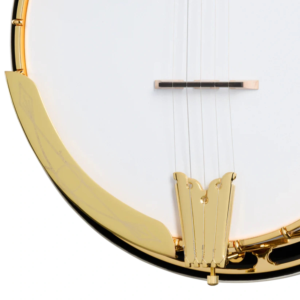 Đàn Guitar Acoustic Epiphone Earl Scruggs Golden Deluxe Banjo Vintage Sunburst