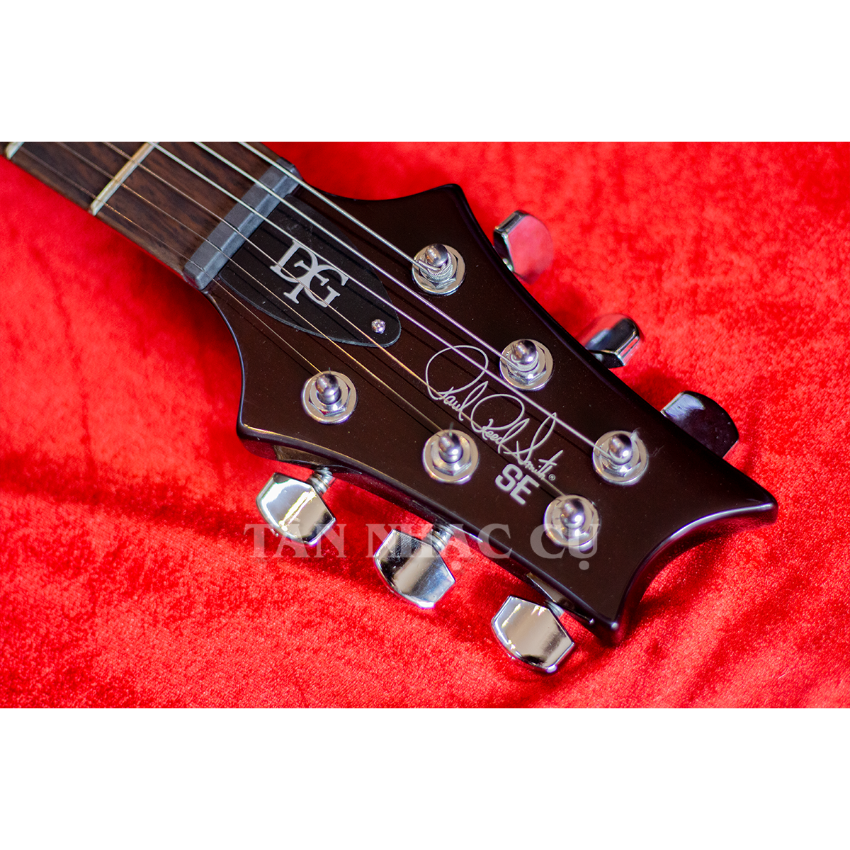 Đàn Guitar Điện PRS SE DGT David Grissom Signature