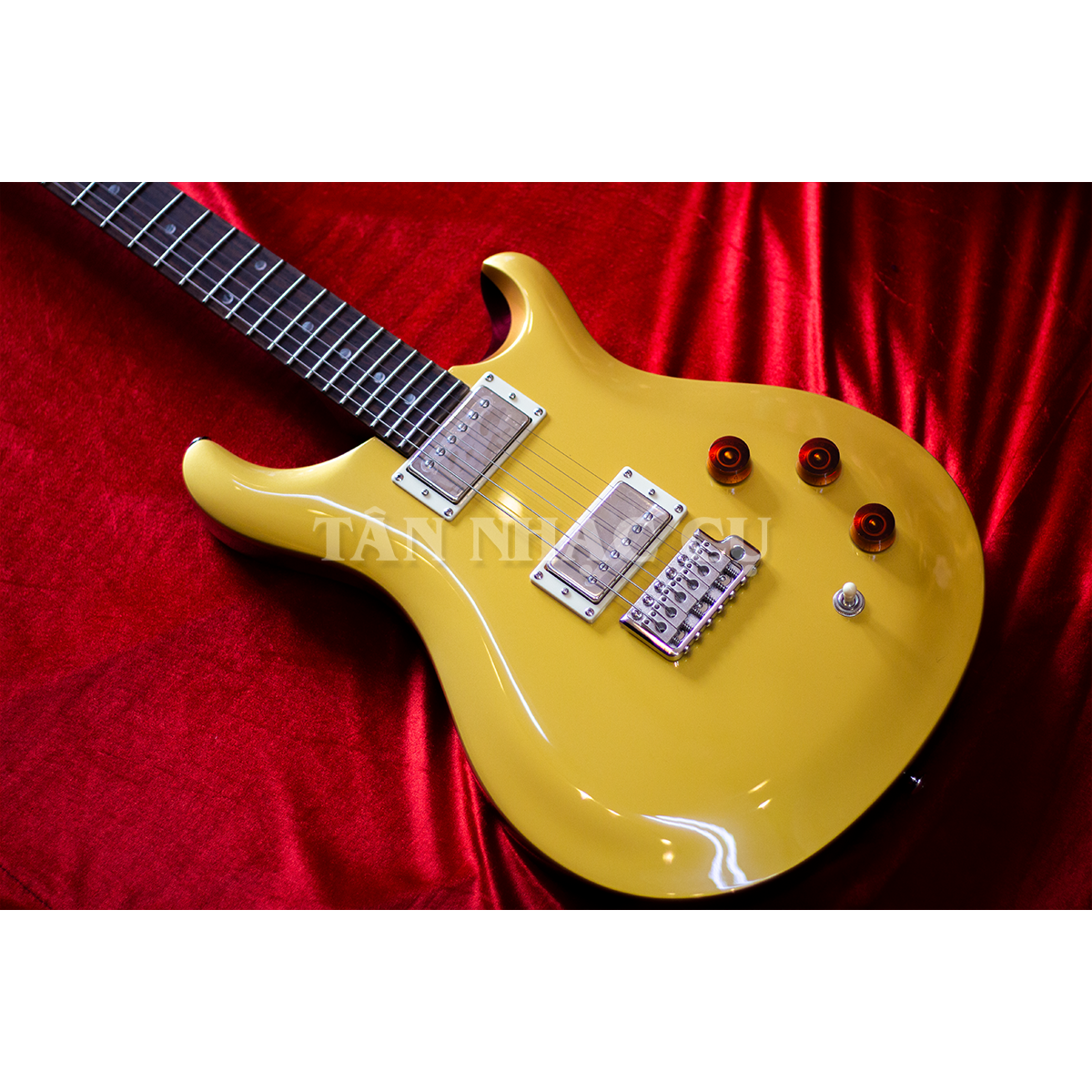 Đàn Guitar Điện PRS SE DGT David Grissom Signature